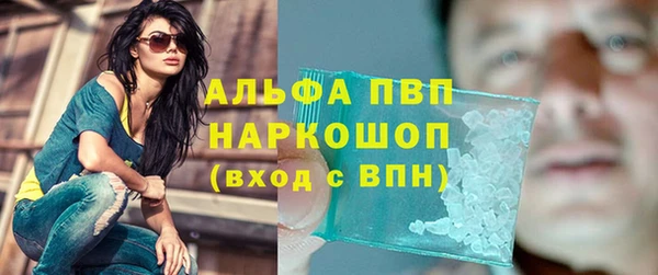 крисы Алексин