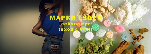 прущий лед Алзамай