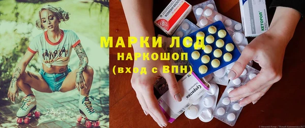 прущий лед Алзамай