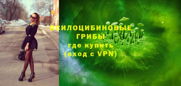 крисы Алексин